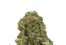 Convenience at Your Doorstep: Marijuana Delivery in NYC and New York Weed Delivery Services